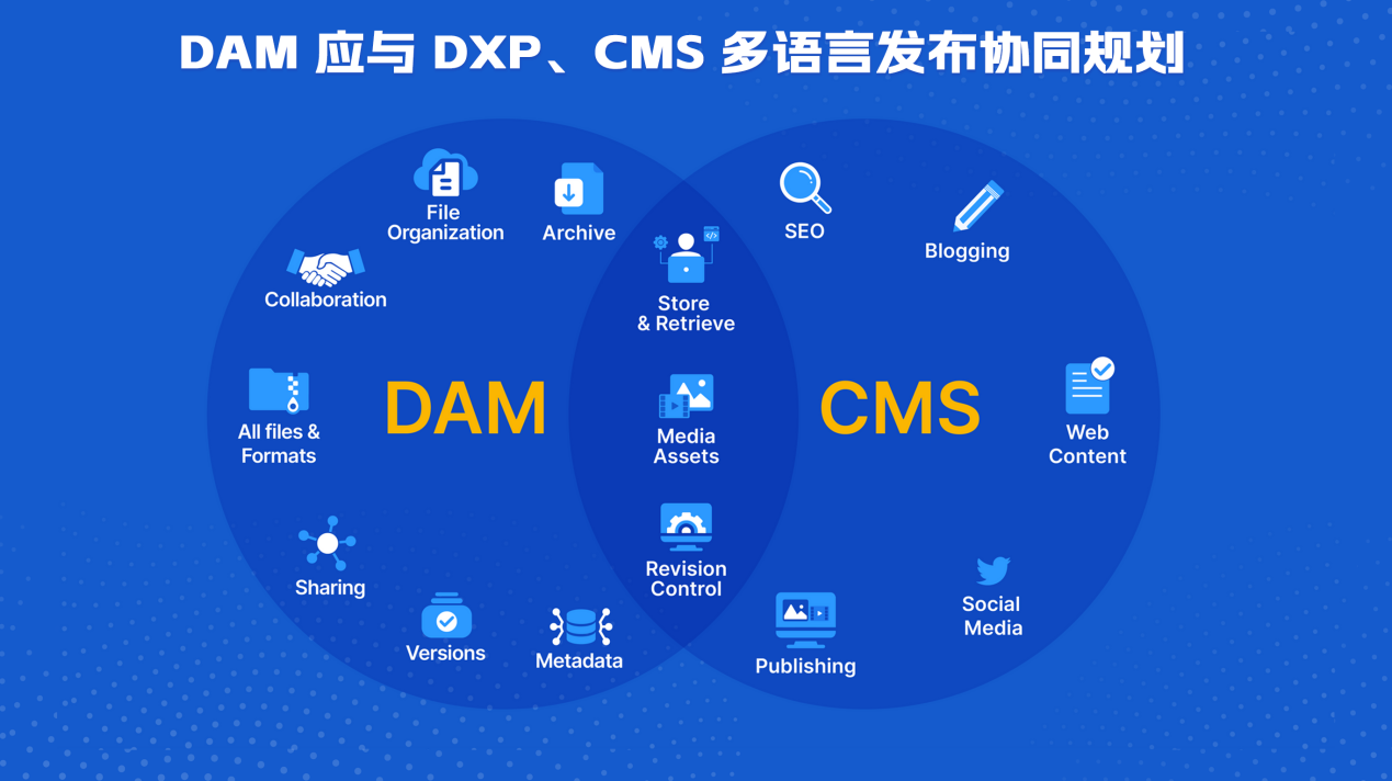 图片展示了DAM 应与 DXP、CMS 多语言发布协同规划