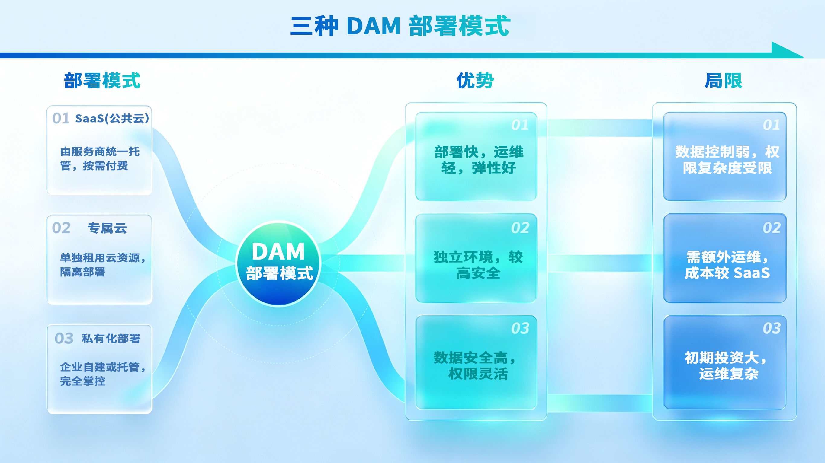 Infographic showing three DAM deployment models: SaaS, dedicated cloud, private cloud, with pros and cons.