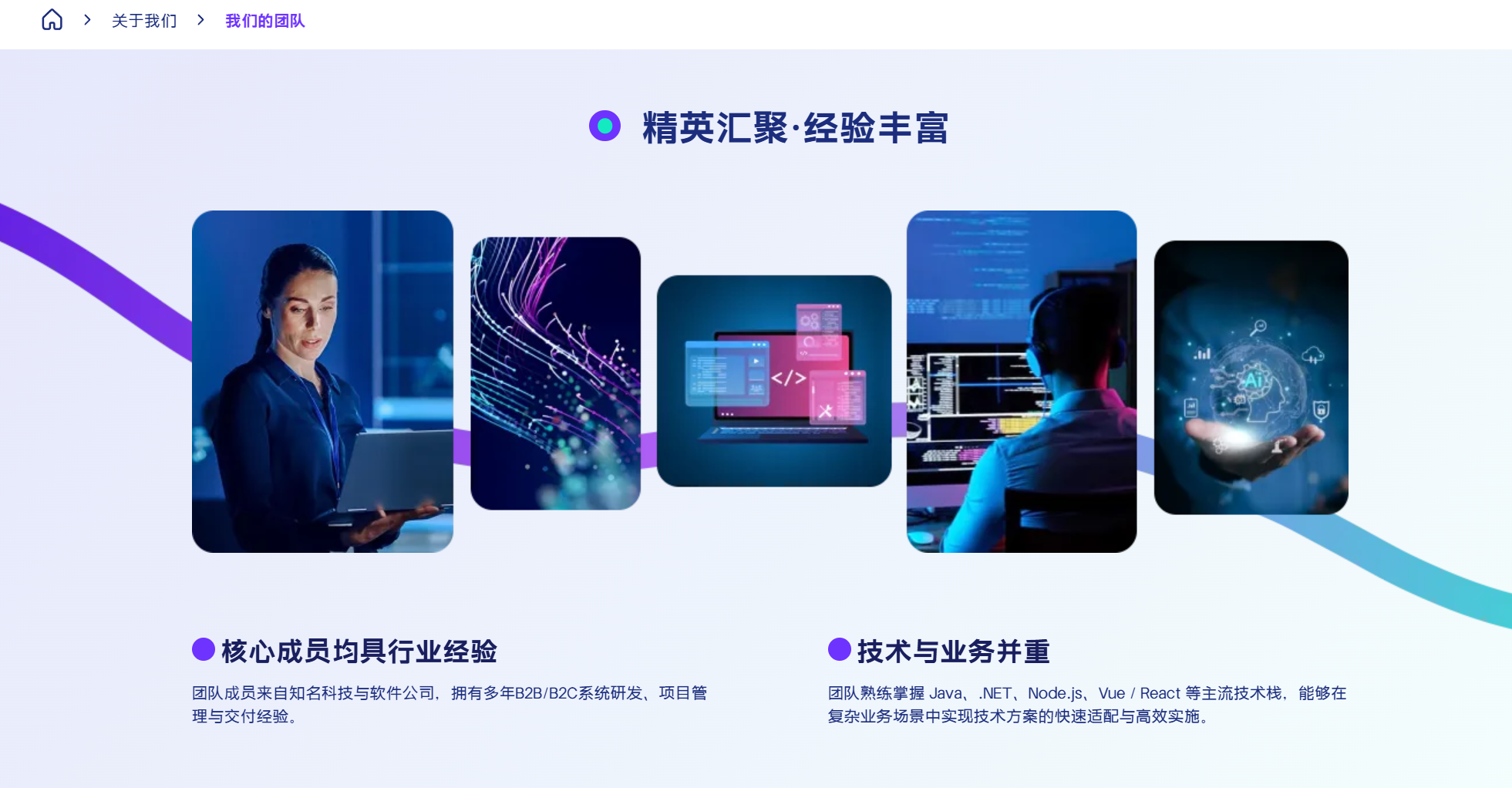 这张图片展示了BMS DXP的优秀团队