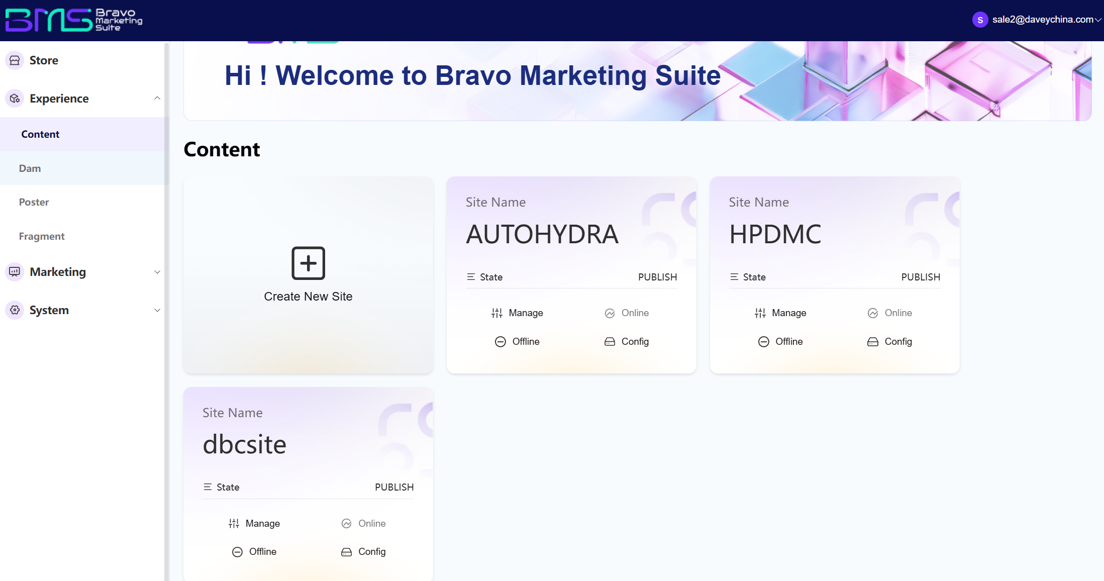 This image shows the Content page of BMS DXP