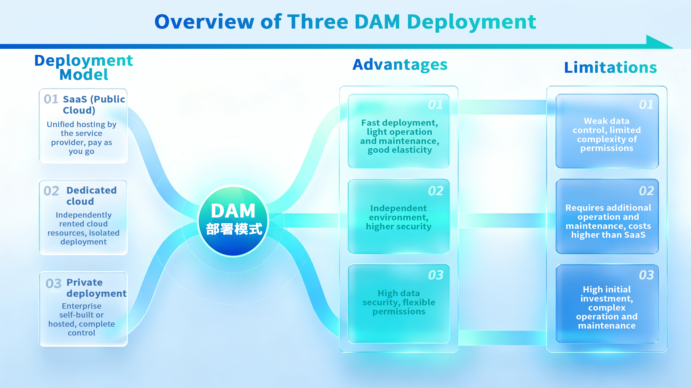 comparing three DAM deployment models: SaaS, dedicated cloud, and private deployment, with advantages and limitations.