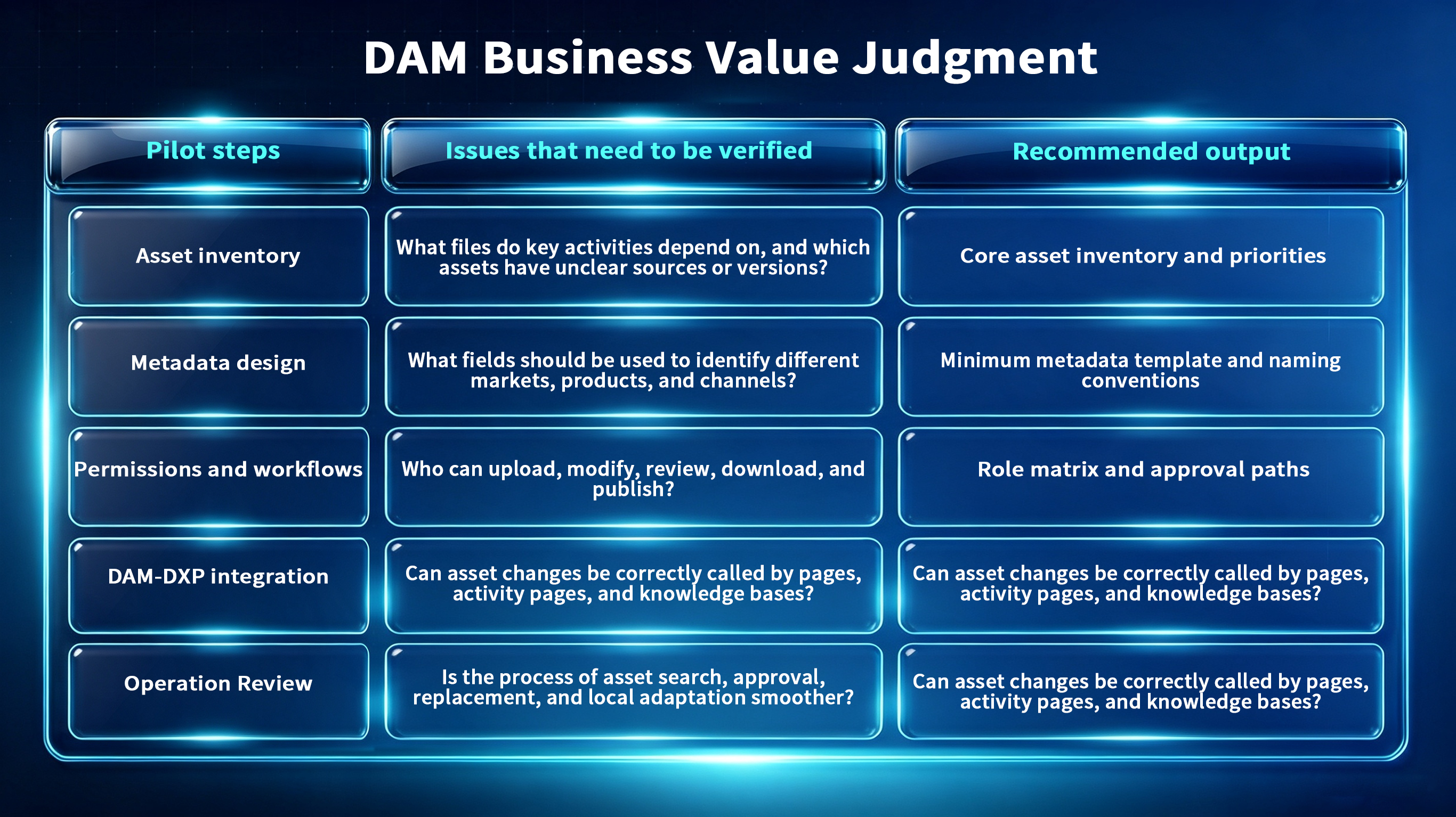 Blue-themed DAM business value judgment dashboard with structured pilot steps, issues, and outputs.