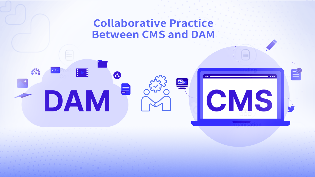 Infographic explaining DAM, CMS, DXP, and PIM differences with a blue tech-themed diagram.